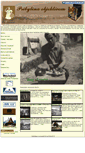 Mobile Screenshot of pribylinaobjektivom.sk